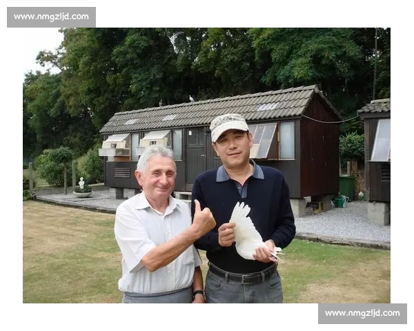 千里归途：信鸽与鸽友的坚守