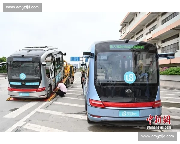 三球合一！匹克球首入区运会引热潮